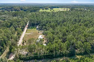 3601 Metcalf Rd, Vernon, FL 32462 - Photo 33
