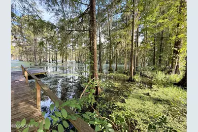 5255 Limestone Lane, Marianna, FL 32446 - Photo 5