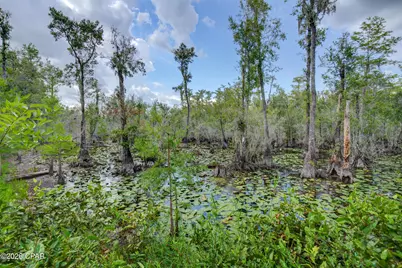 1788 Gap Boulevard, Chipley, FL 32428 - Photo 37