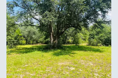2180 Crovetti Way, Alford, FL 32420 - Photo 3