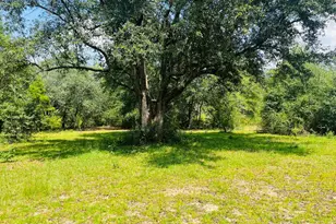 2180 Crovetti Way, Alford, FL 32420 - Photo 3