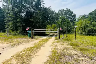 2180 Crovetti Way, Alford, FL 32420 - Photo 47