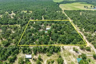 2180 Crovetti Way, Alford, FL 32420 - Photo 31