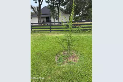 402 E Iowa Avenue, Bonifay, FL 32425 - Photo 31