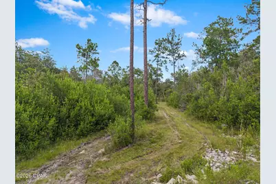 2576 S Highway 173, Bonifay, FL 32425 - Photo 43