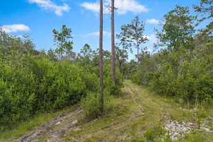 2576 S Hwy 173, Bonifay, FL 32425 - Photo 43