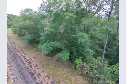 Lot 38 Birchwood Drive, Chipley, FL 32428 - Photo 1