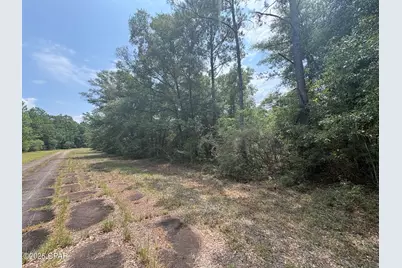 Lot 38 Birchwood Drive, Chipley, FL 32428 - Photo 3