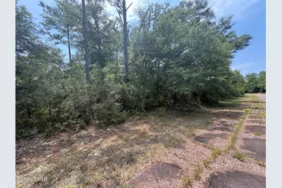 Lot 39 Birchwood Drive, Chipley, FL 32428 - Photo 3