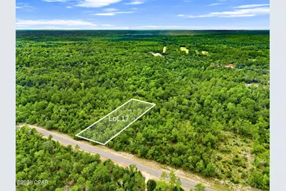 0 Firwood Avenue #Lot 17, Chipley, FL 32428 - Photo 3