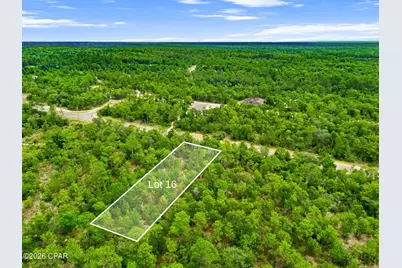 0 Firwood Avenue #Lot 16, Chipley, FL 32428 - Photo 11