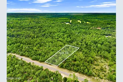 0 Firwood Avenue #Lot 16, Chipley, FL 32428 - Photo 5