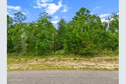 0 Firwood Avenue #Lot 16, Chipley, FL 32428 - Photo 17