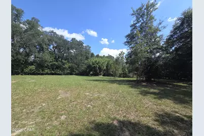 Xxx Live Oak Lane, Blountstown, FL 32424 - Photo 5