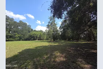 Xxx Live Oak Lane, Blountstown, FL 32424 - Photo 1