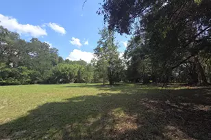 Xxx Live Oak Ln, Blountstown, FL 32424 - Photo 1