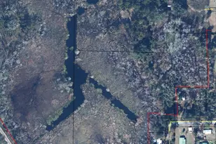 2626 Miss Mae Ln, Cottondale, FL 32431 - Photo 1