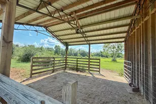 3280 Willie Ln, Cottondale, FL 32431 - Photo 9