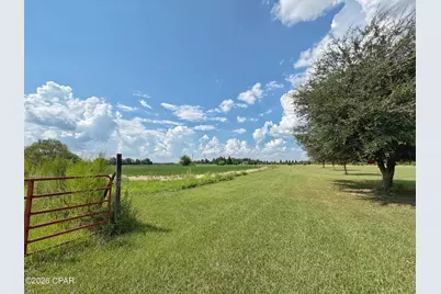 3280 Willie Lane, Cottondale, FL 32431 - Photo 41