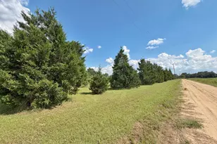 3280 Willie Ln, Cottondale, FL 32431 - Photo 55