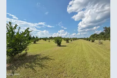 3280 Willie Lane, Cottondale, FL 32431 - Photo 53