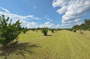 3280 Willie Ln, Cottondale, FL 32431 - Photo 53
