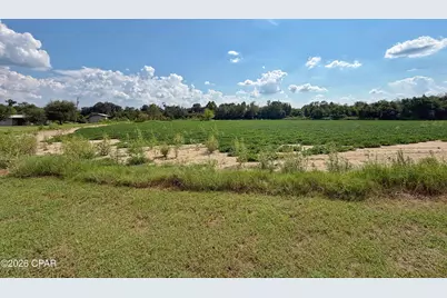 3280 Willie Lane, Cottondale, FL 32431 - Photo 51