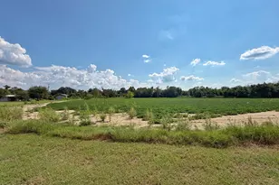 3280 Willie Ln, Cottondale, FL 32431 - Photo 51
