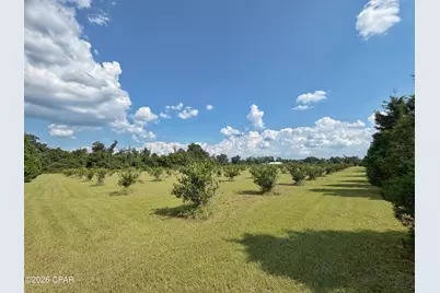 3280 Willie Lane, Cottondale, FL 32431 - Photo 47