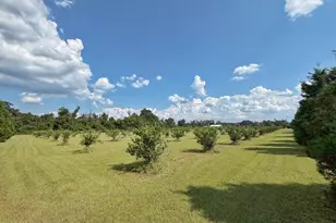 3280 Willie Ln, Cottondale, FL 32431 - Photo 47
