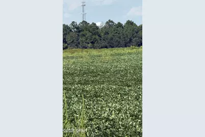 5110 Highway 273, Campbellton, FL 32426 - Photo 5