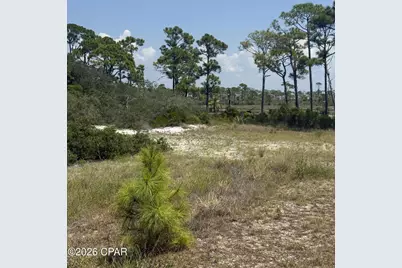 4746 Cape San Blas Road, Port Saint Joe, FL 32456 - Photo 15
