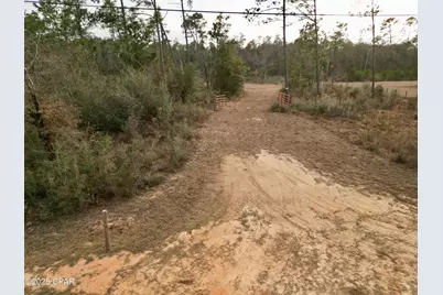 421 Tinker Lane, Chipley, FL 32428 - Photo 3