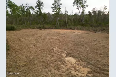 421 Tinker Lane, Chipley, FL 32428 - Photo 5