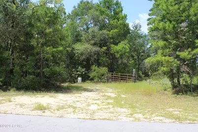 Tbd New Jerusalem Road, Vernon, FL 32462 - Photo 1