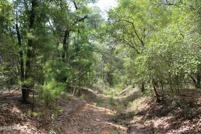 Tbd New Jerusalem Road, Vernon, FL 32462 - Photo 5