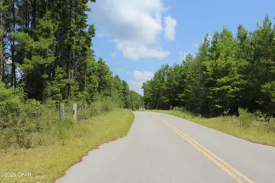 Tbd New Jerusalem Road, Vernon, FL 32462 - Photo 9