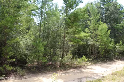 Tbd New Jerusalem Road, Vernon, FL 32462 - Photo 7