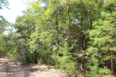 Tbd New Jerusalem Road, Vernon, FL 32462 - Photo 3