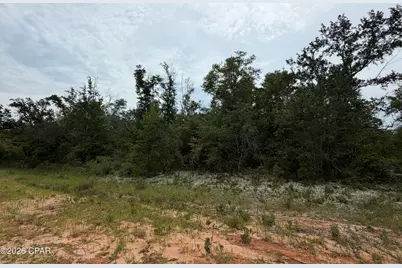 Lot 3 Lanai Court, Alford, FL 32420 - Photo 1