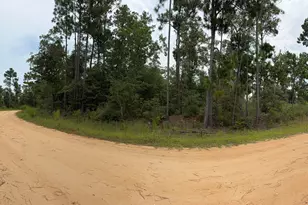Lot 12 Postpile Circle, Alford, FL 32420 - Photo 1