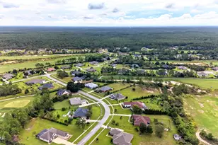 103 Tournament Ln, Freeport, FL 32439 - Photo 89