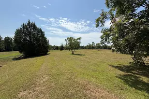 2848 Jessie O Lewis Rd, Bonifay, FL 32425 - Photo 1