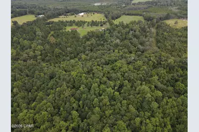 2848 Jessie O Lewis Road, Bonifay, FL 32425 - Photo 53