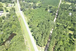 0000 Canary Rd, Graceville, FL 32440 - Photo 1