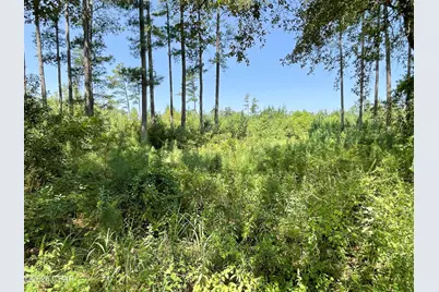 0000 Canary Road, Graceville, FL 32440 - Photo 11