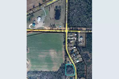 0 Mashburn Road, Marianna, FL 32448 - Photo 3