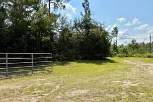 8869 NW Felix Flanders Rd, Altha, FL 32421 - Photo 45