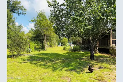 8869 NW Felix Flanders Road, Altha, FL 32421 - Photo 43