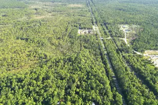 Tbd SW State Road 65, Bristol, FL 32321 - Photo 1